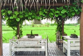 Nook Restaurant in Canggu Bali