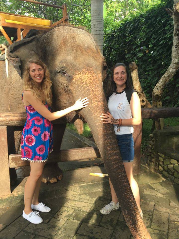 Bali retreat guests with elephant