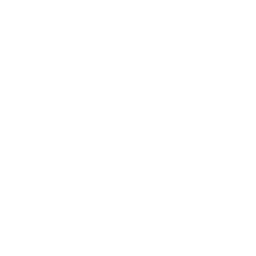 Trip Advisor Owl